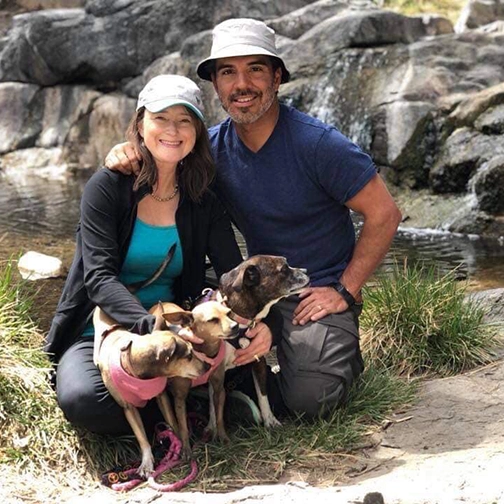 The Owners and their Dogs