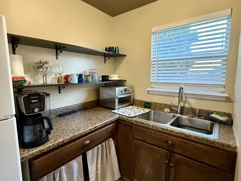 Kitchen corner of a dog friendly cabin with a coffee maker, countertop toaster oven, double sink, and a floating shelf lined with glasses and mugs above the counter.